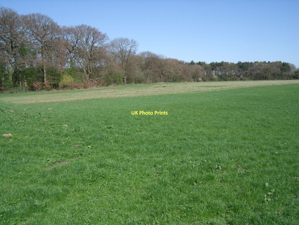 Photo 6"x4" Farmland near Fishpond Wood Water End\/SE7838 c2011