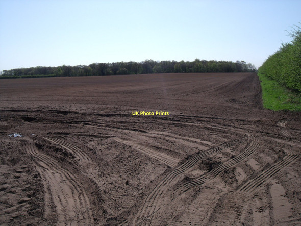 Photo 6"x4" Farmland off Lock Lane Rascal Moor c2011