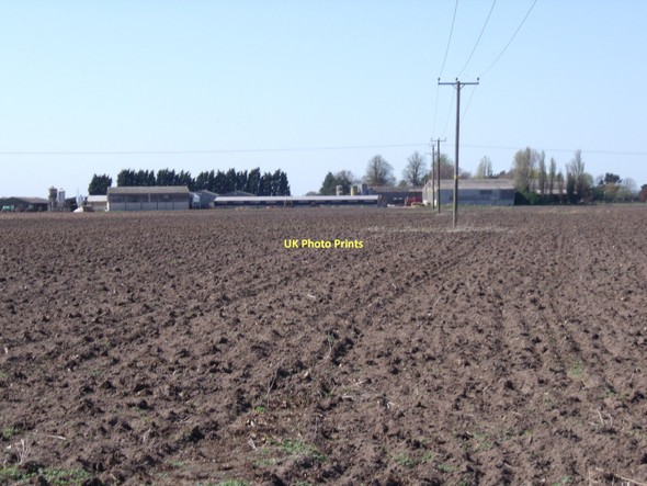 Photo 6"x4" Farmland, Holme House Farm Water End\/SE7838 c2011