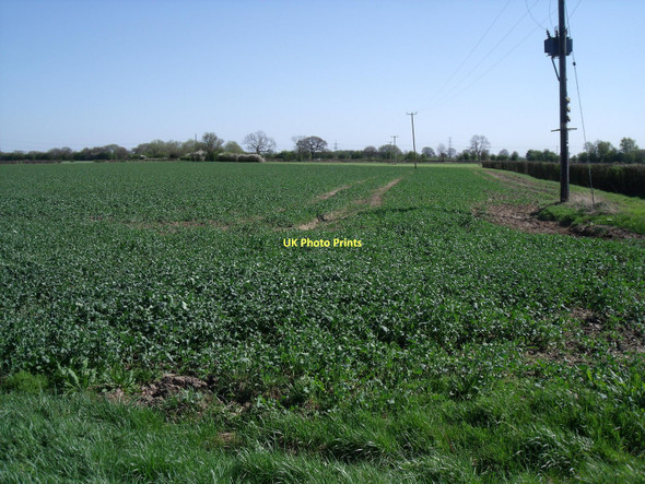 Photo 6"x4" Farmland, Highfield Highfield\/SE7236 c2011