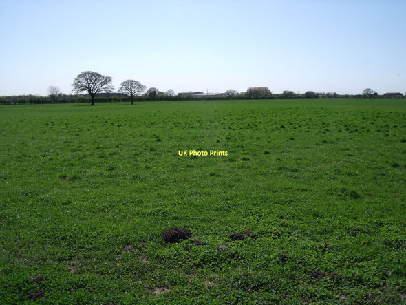 Photo 6"x4" Farmland south of Highfield Highfield\/SE7236 c2011