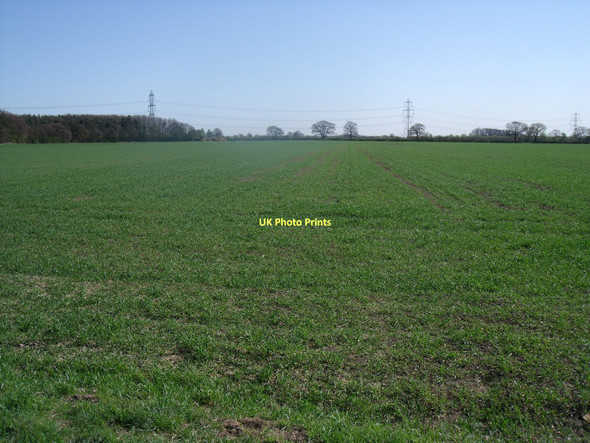 Photo 6"x4" Farmland, Wressle Wressle\/SE7131 c2011