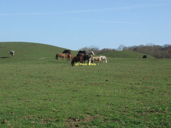 Photo 6"x4" These are not in today's Grand National Llansanffraid Glan Conwy c2011