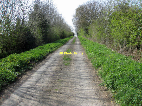 Photo 6"x4" Track to Keld Head Farm Kirkbymoorside c2011