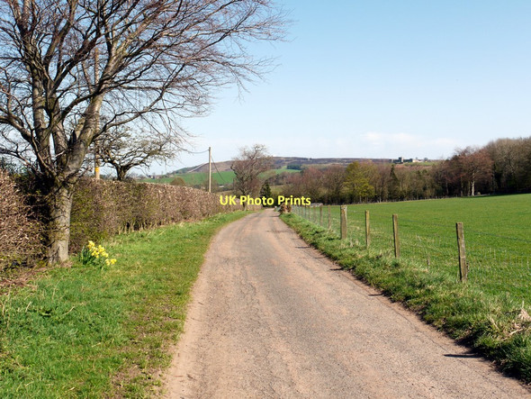 Photo 6"x4" Farm access road north-east of Overthwarts Farm Edlingham c2011