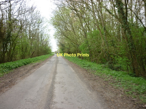 Photo 6"x4" A minor road at Young's Wood Bishopbridge c2011