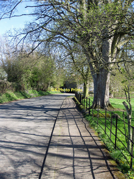 Photo 6"x4" Strong shadows Keldholme c2011