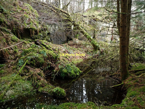 Photo 6"x4" Disused quarry in Bellton Wood Munlochy c2011