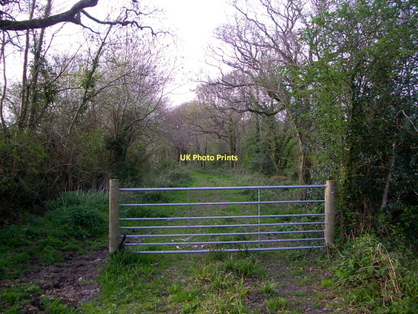 Photo 6"x4" Hermitage: gated woodland track and bridleway Hermitage\/ST6407 c2011