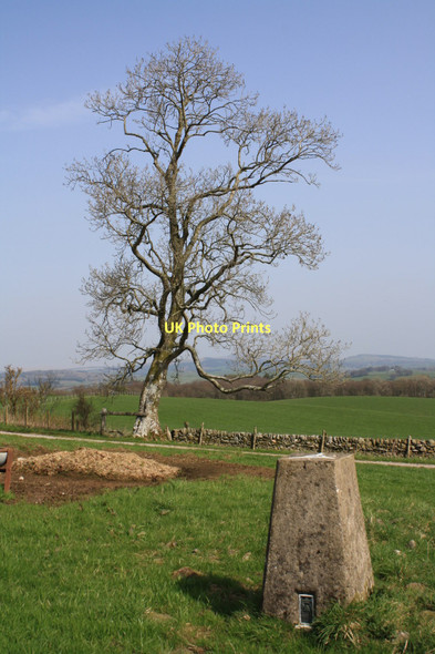 Photo 6"x4" Carlochan trig Old Bridge of Urr c2011
