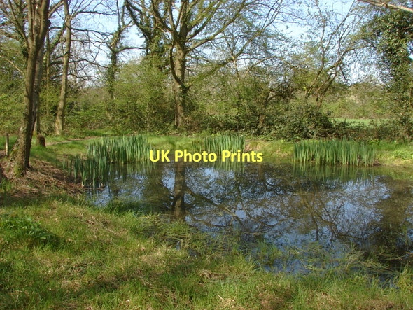 Photo 6"x4" Miles Green, Bisley Miles Green\/SU9558 c2011