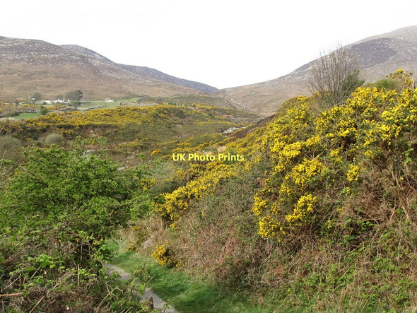 Photo 6"x4" Whins in the lower Bloody Bridge River valley Newcastle\/J3732 c2011