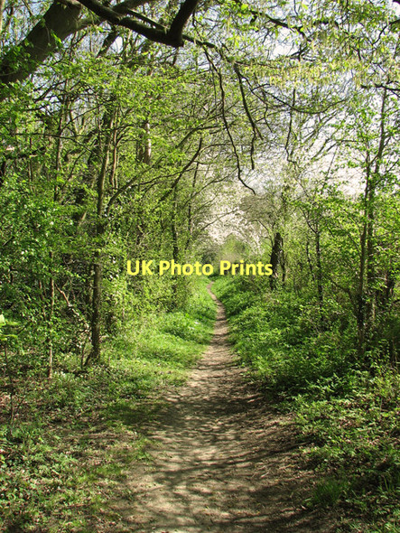 Photo 6"x4" Path to Seething Brooke\/TM2899 c2011