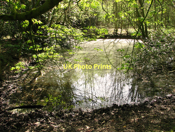 Photo 6"x4" Pond east of Brooke Brooke\/TM2899 c2011