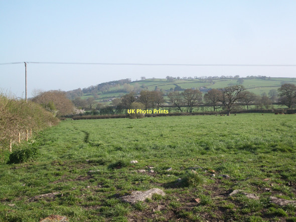 Photo 6"x4" Yetminster: pasture land looking towards Knighton Hill Yetminster c2011