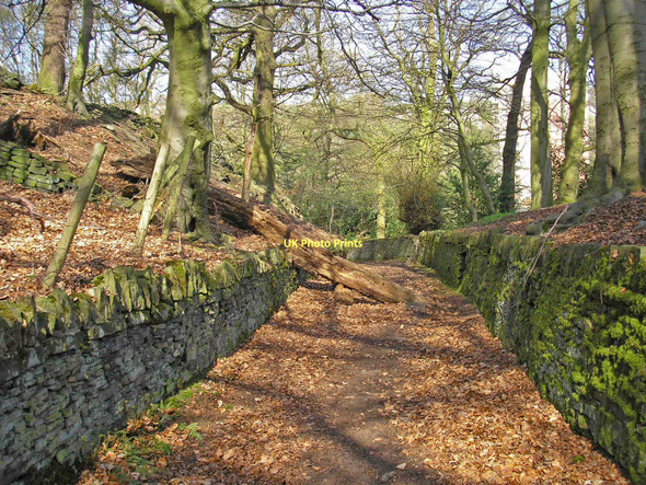 Photo 6"x4" Lane out of Armitage Bridge Armitage Bridge c2011