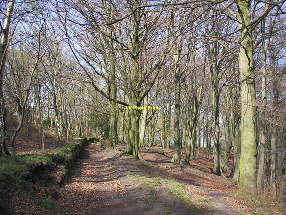 Photo 6"x4" Mag Wood Armitage Bridge c2011