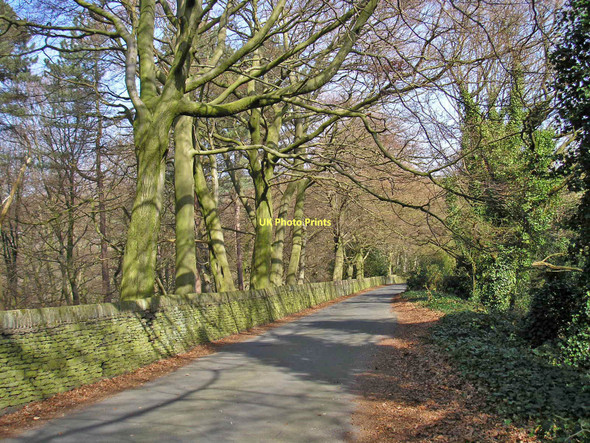 Photo 6"x4" Road at Magdale Armitage Bridge c2011