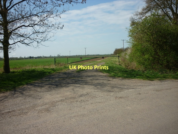 Photo 6"x4" A farm track off Cow Lane Coates\/SK9183 c2011