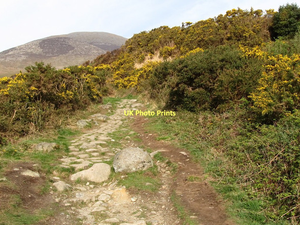 Photo 6"x4" A paved section of the Brandy Pad Newcastle\/J3732 c2011