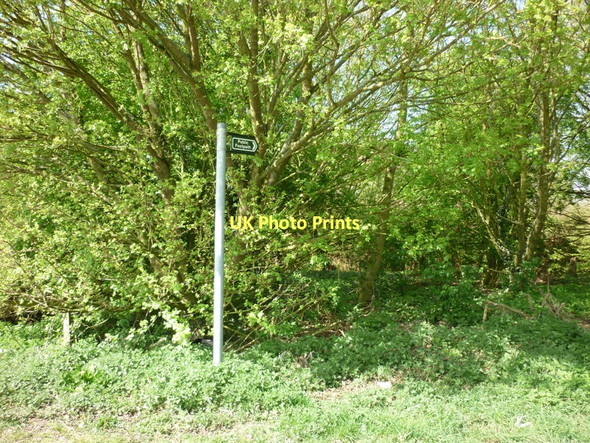 Photo 6"x4" A footpath heading to Hemswell Harpswell c2011