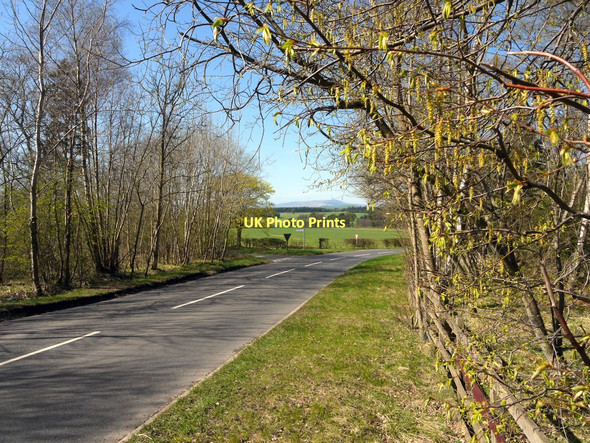 Photo 6"x4" Junction of minor roads north-east of Lemmington Hall Bolton\/NU1013 c2011