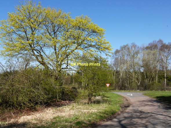 Photo 6"x4" Junction of minor roads north-east of Lemmington Hall Bolton\/NU1013 c2011