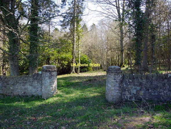 Photo 6"x4" Bank Wood near Lemmington Hall Bolton\/NU1013 c2011