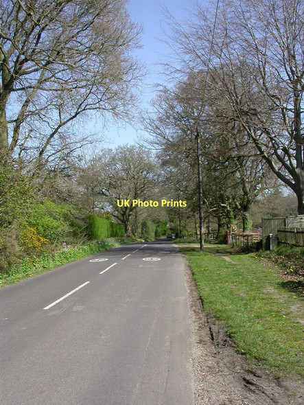 Photo 6"x4" Thorney Hill, Burley Road Thorney Hill\/SZ2099 c2011