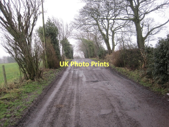 Photo 6"x4" Drive and Footpath towards Boghall Wallridge c2011