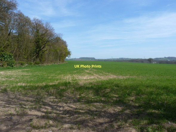 Photo 6"x4" The eastern edge of The Longdole Leighton\/SJ6105 c2011