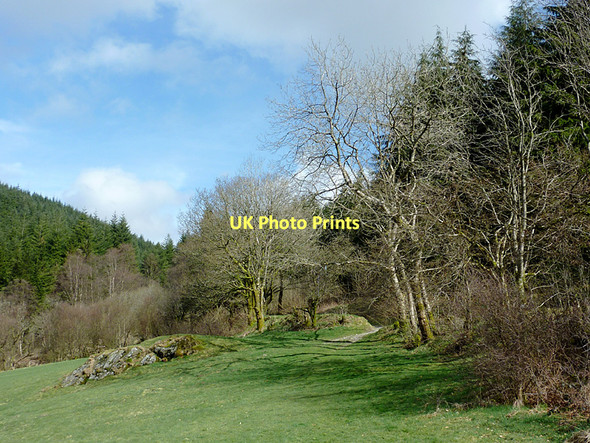 Photo 6"x4" Picnic area by Llyn Brianne, Powys Tywi Forest c2011