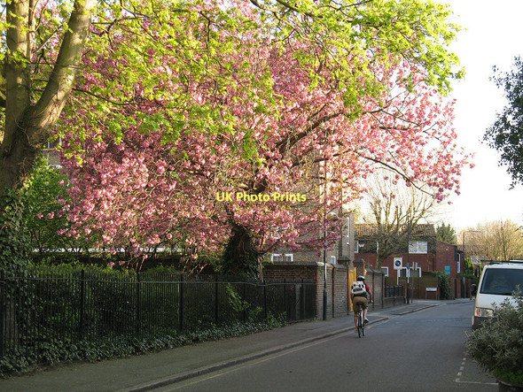 Photo 6"x4" Watergate Street, Deptford Deptford\/TQ3677 c2011