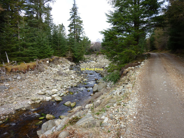 Photo 6"x4" Track leading N from Pitmain Lodge Kingussie c2011