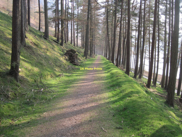 Photo 6"x4" Elan Valley cycle path heading away from Penygarreg Dam Elan Village c2011