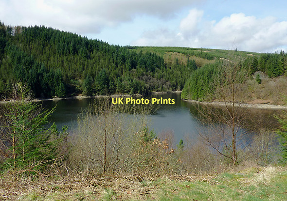 Photo 6"x4" Llyn Brianne west of Cefn Fannog, Powys Tywi Forest c2011