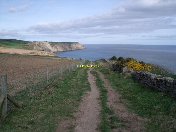 Photo 6"x4" Cleveland Way towards Whitby High Hawsker c2011