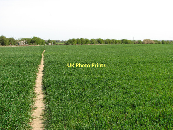 Photo 6"x4" Path to Great Wilbraham Great Wilbraham c2011