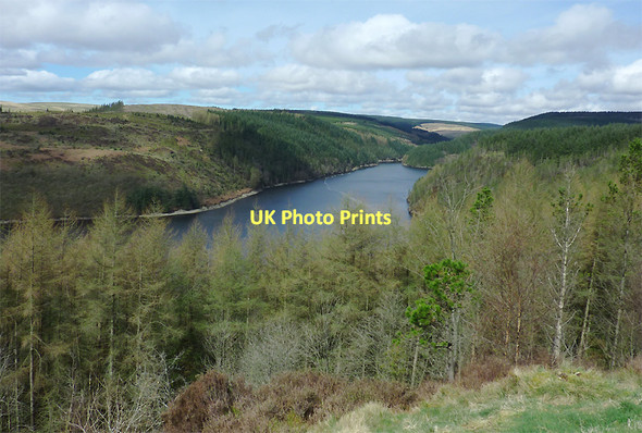 Photo 6"x4" Tywi Forest and Llyn Brianne, Powys Nant Cwm-bys c2011