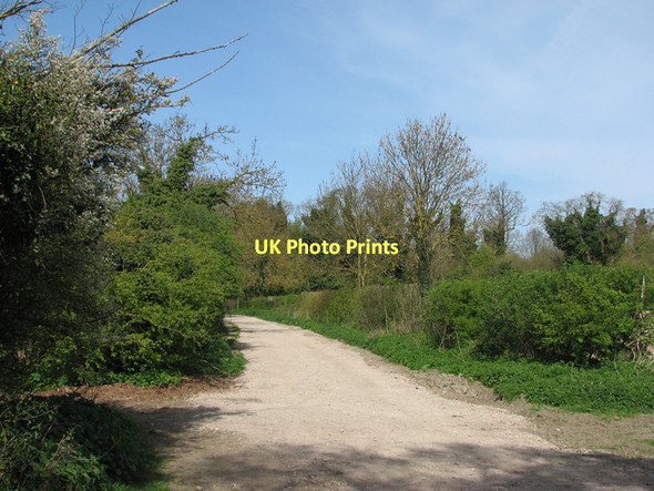 Photo 6"x4" The end of Stonebridge Lane Fulbourn c2011