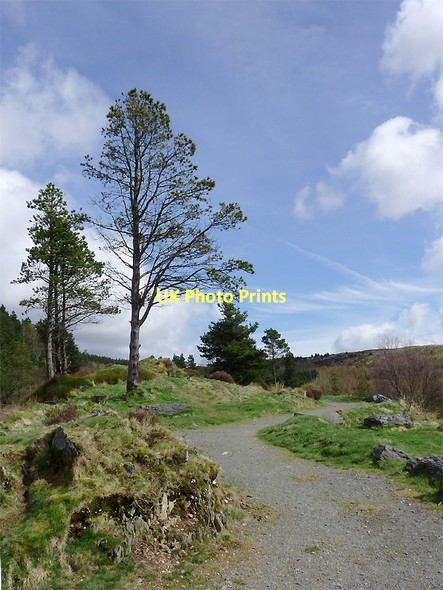 Photo 6"x4" Pathway to a Llyn Brianne viewpoint, Powys Nant Cwm-bys c2011