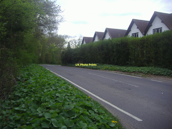 Photo 6"x4" Ockley Road Ewhurst Ewhurst c2011