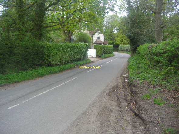 Photo 6"x4" Ewhurst Road near Ewhurst Peaslake c2011