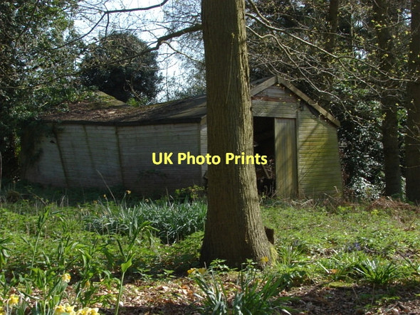 Photo 6"x4" Ruined shed, Berry Lane Fox Corner\/SU9654 c2011
