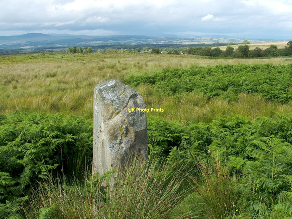 Photo 6"x4" Standing stone on Gallangad Muir Gallangad Muir c2009