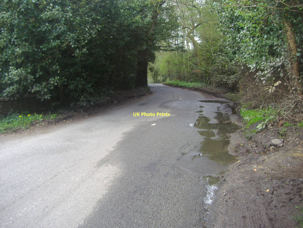 Photo 6"x4" Ewhurst Road, Peaslake Ewhurst c2011