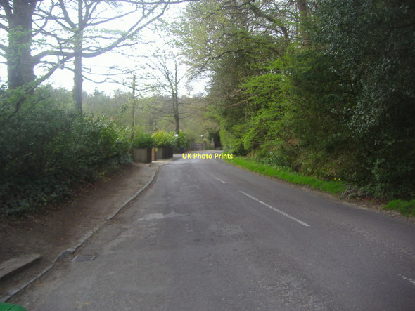 Photo 6"x4" Ride Way Ewhurst Peaslake c2011 P1