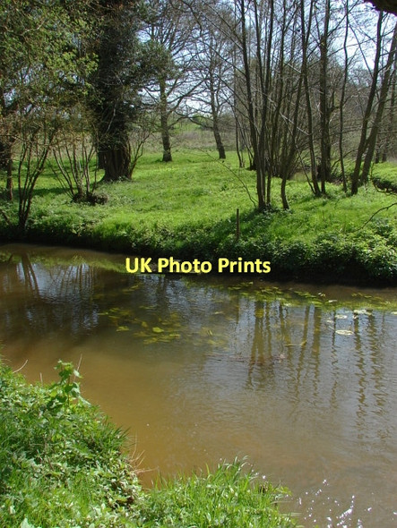 Photo 6"x4" Fox Corner Wildlife Area Fox Corner\/SU9654 c2011
