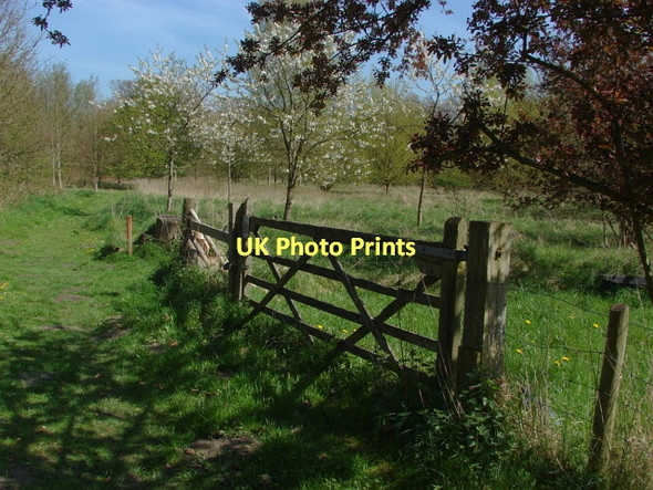 Photo 6"x4" Fox Corner Wildlife Area Fox Corner\/SU9654 c2011 P1