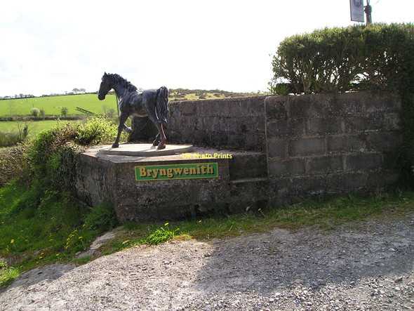 Photo 6"x4" Milk stand Hermon\/SN3630 c2011